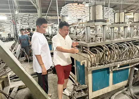 Servicio técnico in situ puesta en marcha de la máquina.